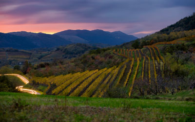 La région de Vipavska dolina